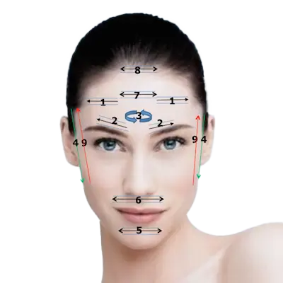Riflessologia del viso per trattare il dolore cervicale dolore cervicale-douleurs cervicales-rflessologia del viso- dien'cham'